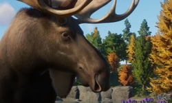 Planet Zoo pack d'animaux d'Amérique du Nord