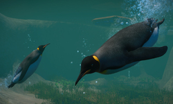 Planet Zoo