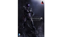 Play Arts Catwoman Tetsuya Nomura.