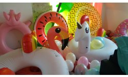 Playlink House Photos (5)