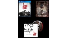 PlayStation 4 PS4 Edition limitee The Evil Within 3