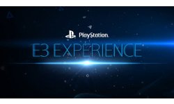 PlayStation E3 Experience 29.05.2014