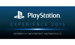 PlayStation Experience 2015 logo