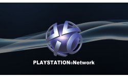 PlayStation Network vignette 30112013