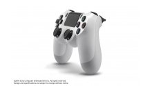Playstation PS4 blanche 10.05.2014  (6)