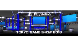 PlayStation Tokyo Game Show 2018