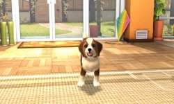 playstation vita pets 001