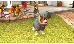 playstation vita pets 04