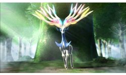 Pokemon X Y 16.08.2013.