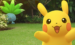 Pokémon GO Fest 2020 head