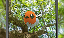 Pokémon GO Journée Communauté Passerouge 17 02 2021