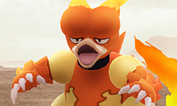Pokémon GO Journées Communauté novembre 2020