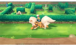 Pokémon Let's Go Pikachu Evoli vignette 16 11 2018