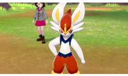 Pokémon Épée Bouclier Ile Solitaire de l'Armure 12