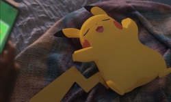 Pokémon Sleep head