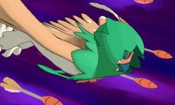 Pokémon Soleil Lune Capacité Z Archéduc 14 11 2016