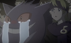 Pokémon Évolutions vignette 16 12 2021