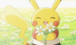 Pokémon Évolutions vignette 23 12 2021