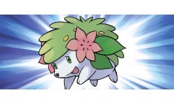 Pokémon X Y Rubis Oméga Saphir Alpha Shaymin head