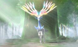 pokémon x y