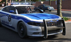 Police Simulator Patrol Officers