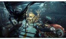 Prey 5
