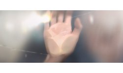 Project Palm 29 07 2016 head