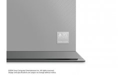 PS4 PSone 20th anniversary edition enchere (1)