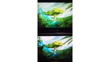 PSVita comparaison écrans LCD  OLED 10.10.2013 (11)