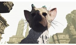 PSX17 The Last Guardian VR Images Trico (14)