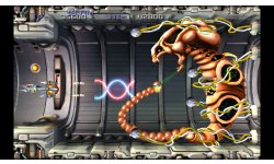 R Type Dimensions 01
