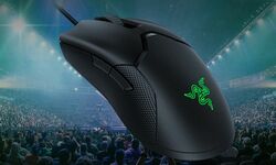 Razer HyperPolling Viper 8KHz (1)