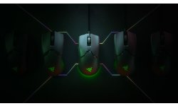 Razer Viper Mini.