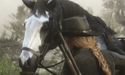 Red Dead Online 09 06 2020 head