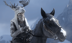 Red Dead Online 29 09 2020 orignal manteau