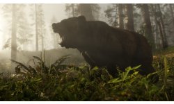 Red Dead Redemption 2 07 05 18 (4)