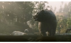 Red Dead Redemption 2 29 09 2018 screenshot (1)