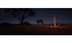 Red Dead Redemption 2 head