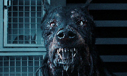 Resident Evil Netflix live action EW 06