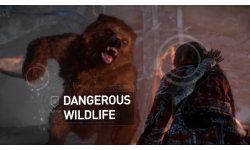 Rise of the Tomb Raider head