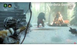 Rise of the Tomb Raider image
