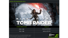 Rise of the Tomb Raider Nvidia