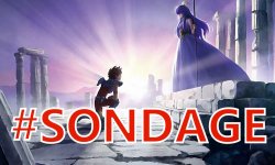 Saint Seiya sondage image (3)