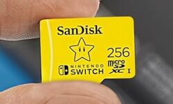 SanDisk 256 Go Carte microSDXC consoles Nintendo Switch