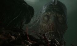 Scorn 05 12 06 2022
