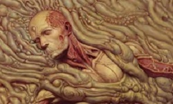 Scorn Laced Records vinyles 02