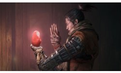 Sekiro Shadows Die Twice 06 06 03 2019