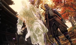 Sekiro Shadows Die Twice head
