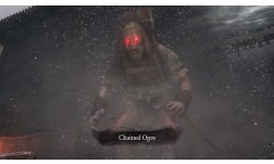 Sekiro Shadows Die Twice vignette 01 03 2019