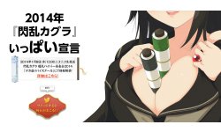 senran kagura 2014 1 20.12.2013.